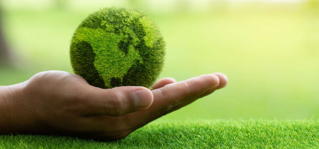 Palm holding a small green ball that has the design of earth.