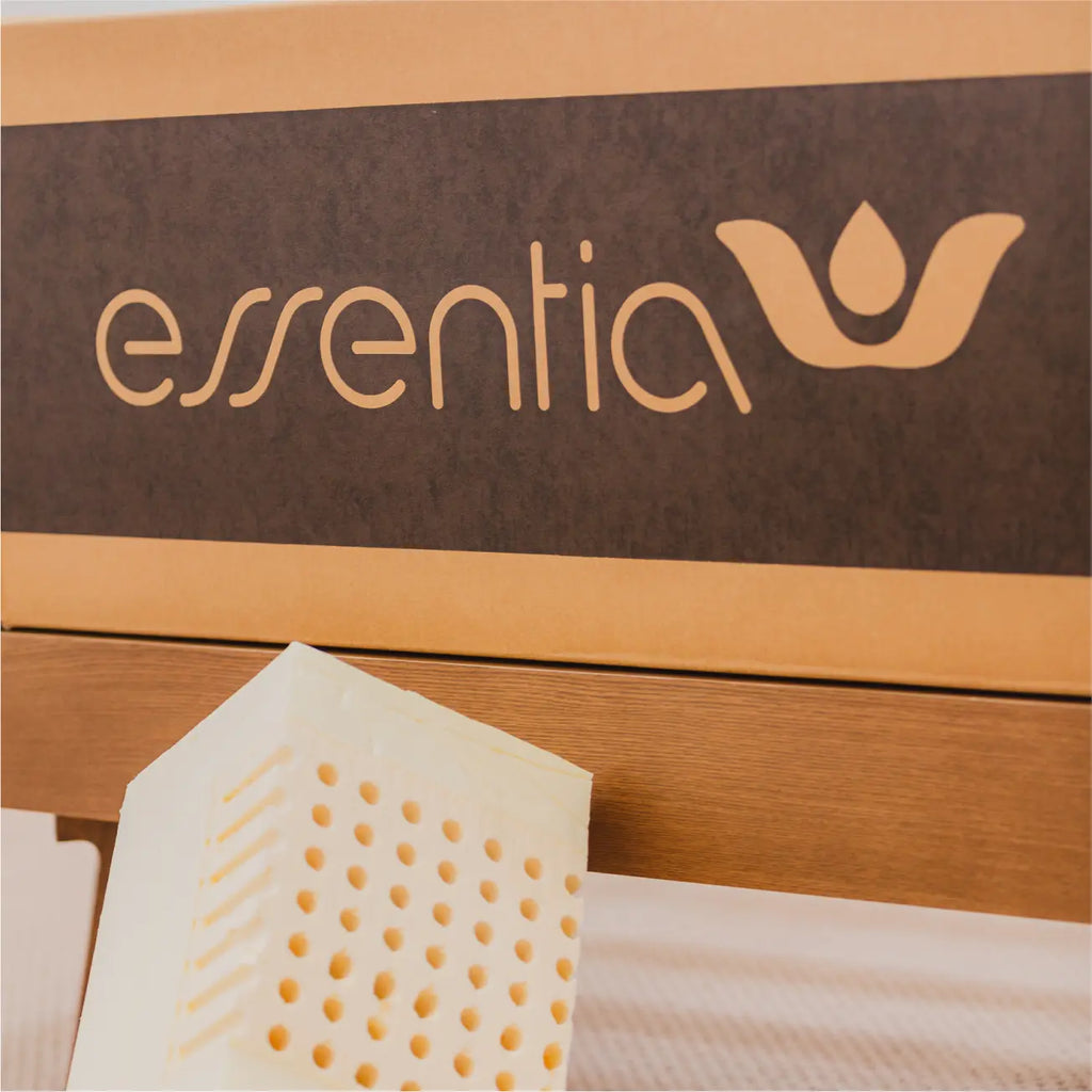 Essentia box with cut through of foam