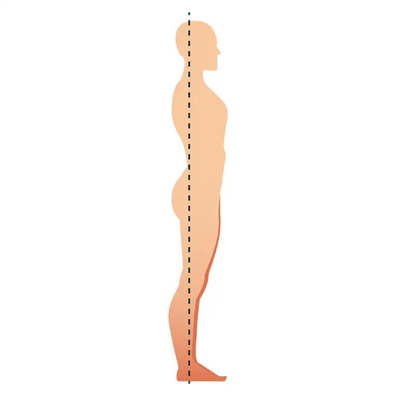 Image showing ideal or normal posture.