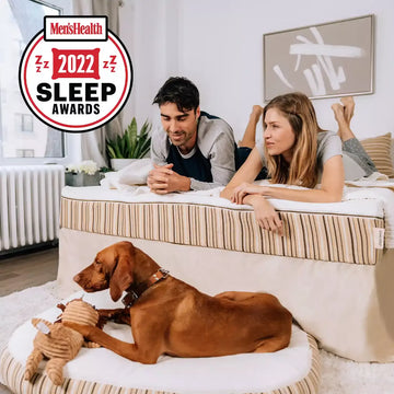woman and man on essentia dormeuse rem9 organic mattress and dog on kingston organic pet bed